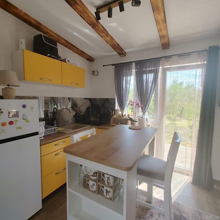 Cattleya Lägenhet Novigrad Istria Exteriör bild